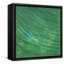 Green Earth I-Charles McMullen-Framed Stretched Canvas