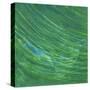 Green Earth I-Charles McMullen-Stretched Canvas