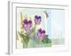 Green Earth Pansie 13-Robbin Rawlings-Framed Art Print