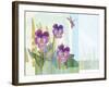 Green Earth Pansie 13-Robbin Rawlings-Framed Art Print