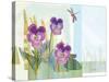 Green Earth Pansie 13-Robbin Rawlings-Stretched Canvas