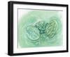 Green Eggs-Estelle Grengs-Framed Art Print