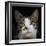 Green Eyes  2020  (photograph)-Ant Smith-Framed Photographic Print