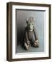 Green Face Monkey, 2006,-Peter Jones-Framed Giclee Print