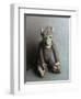 Green Face Monkey, 2006,-Peter Jones-Framed Giclee Print