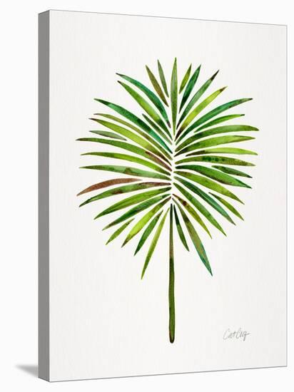 Green Fan Palm-Cat Coquillette-Stretched Canvas