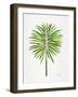 Green Fan Palm-Cat Coquillette-Framed Art Print