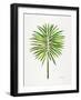 Green Fan Palm-Cat Coquillette-Framed Art Print