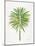 Green Fan Palm-Cat Coquillette-Mounted Art Print