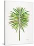 Green Fan Palm-Cat Coquillette-Stretched Canvas