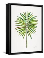 Green Fan Palm-Cat Coquillette-Framed Stretched Canvas