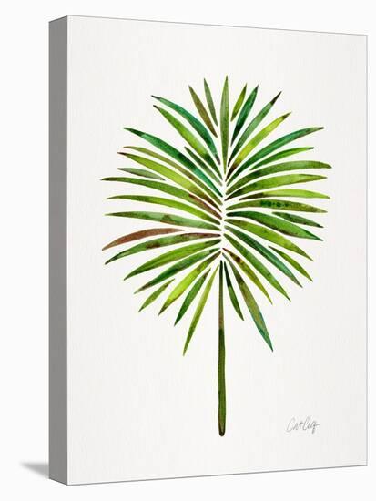 Green Fan Palm-Cat Coquillette-Stretched Canvas