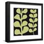 Green Fern on Black-Denise Duplock-Framed Art Print