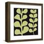 Green Fern on Black-Denise Duplock-Framed Art Print