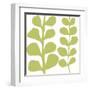 Green Fern on White-Denise Duplock-Framed Art Print