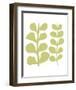 Green Fern on White-Denise Duplock-Framed Art Print