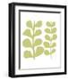 Green Fern on White-Denise Duplock-Framed Art Print