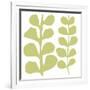 Green Fern on White-Denise Duplock-Framed Art Print