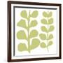 Green Fern on White-Denise Duplock-Framed Art Print