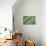 Green Fern-Incredi-Giclee Print displayed on a wall