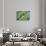 Green Fern-Incredi-Giclee Print displayed on a wall