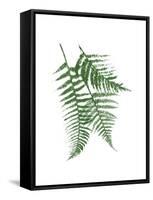 Green Ferns Mate-Jace Grey-Framed Stretched Canvas