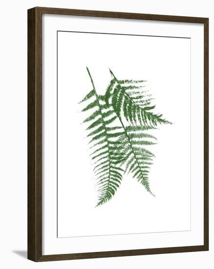 Green Ferns Mate-Jace Grey-Framed Art Print