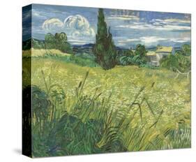 Green Field, 1889-Vincent van Gogh-Stretched Canvas