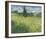 Green Field, 1889-Vincent van Gogh-Framed Art Print