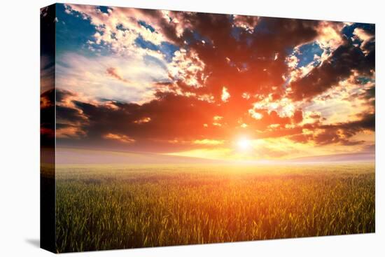 Green Field and Beautiful Sunset-Ruslan Ivantsov-Stretched Canvas