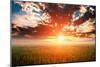 Green Field and Beautiful Sunset-Ruslan Ivantsov-Mounted Photographic Print