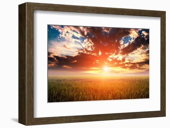 Green Field and Beautiful Sunset-Ruslan Ivantsov-Framed Photographic Print