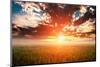 Green Field and Beautiful Sunset-Ruslan Ivantsov-Mounted Photographic Print