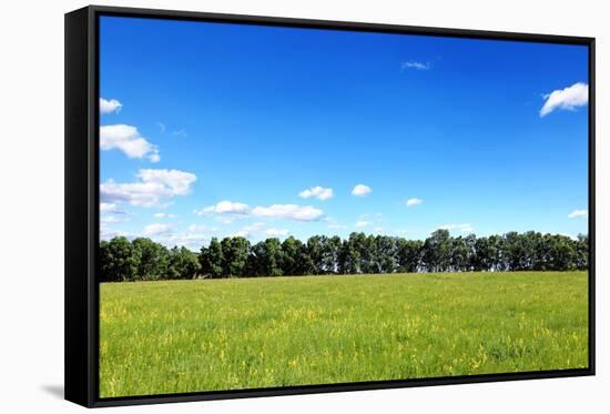 Green Field and Trees at Sunny Day-Liang Zhang-Framed Stretched Canvas