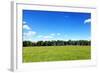 Green Field and Trees at Sunny Day-Liang Zhang-Framed Photographic Print