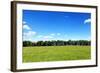 Green Field and Trees at Sunny Day-Liang Zhang-Framed Photographic Print