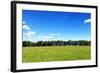 Green Field and Trees at Sunny Day-Liang Zhang-Framed Photographic Print