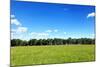 Green Field and Trees at Sunny Day-Liang Zhang-Mounted Photographic Print