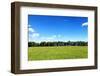 Green Field and Trees at Sunny Day-Liang Zhang-Framed Photographic Print