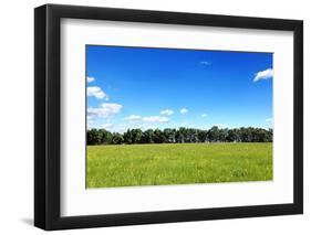 Green Field and Trees at Sunny Day-Liang Zhang-Framed Photographic Print