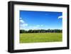 Green Field and Trees at Sunny Day-Liang Zhang-Framed Photographic Print