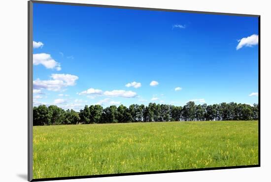 Green Field and Trees at Sunny Day-Liang Zhang-Mounted Photographic Print