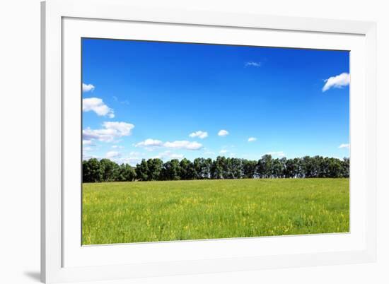 Green Field and Trees at Sunny Day-Liang Zhang-Framed Photographic Print
