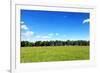 Green Field and Trees at Sunny Day-Liang Zhang-Framed Photographic Print