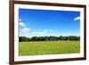 Green Field and Trees at Sunny Day-Liang Zhang-Framed Photographic Print