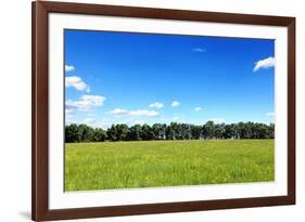 Green Field and Trees at Sunny Day-Liang Zhang-Framed Photographic Print