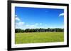 Green Field and Trees at Sunny Day-Liang Zhang-Framed Photographic Print
