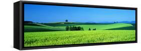 Green Field Japan-null-Framed Stretched Canvas
