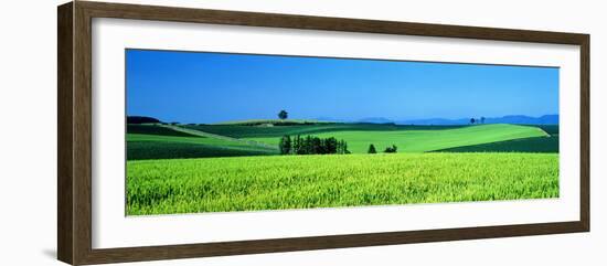 Green Field Japan-null-Framed Photographic Print