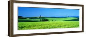 Green Field Japan-null-Framed Photographic Print